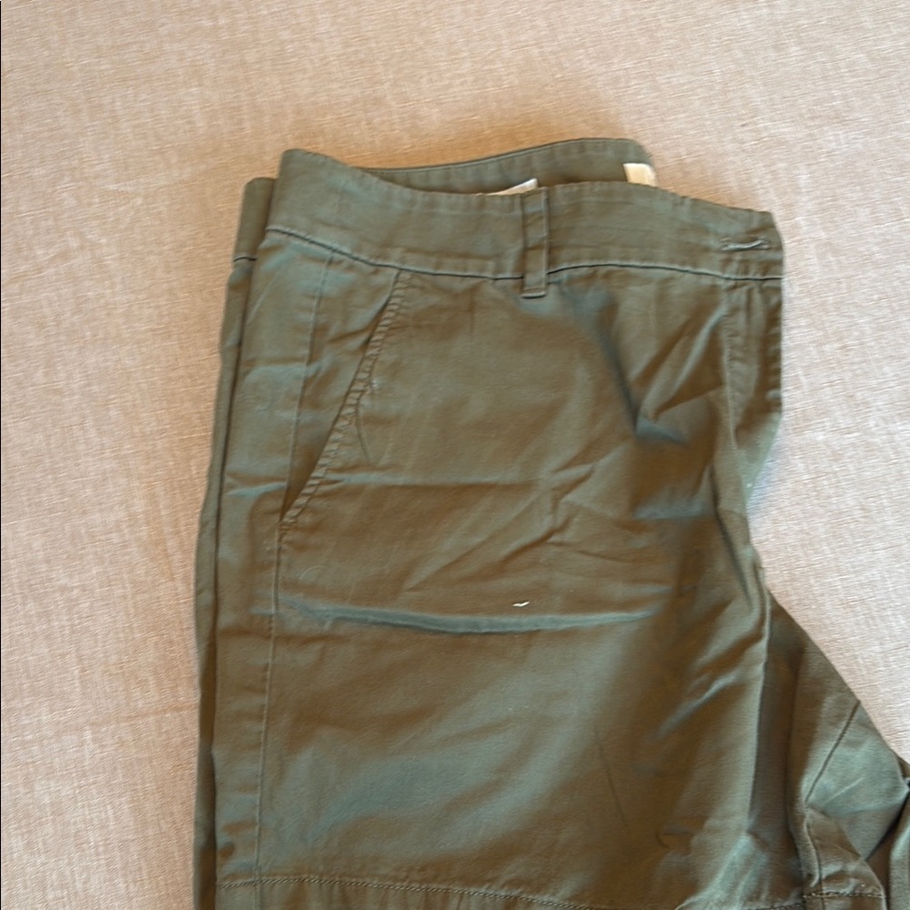 Women’s loft dark green 6inch shorts 16